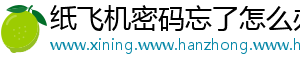 纸飞机密码忘了怎么办